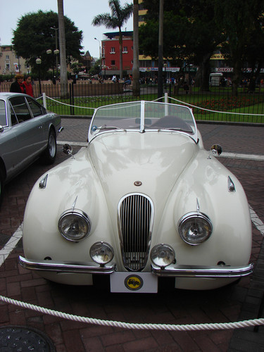 Раритетный ягуар Jaguar 1966