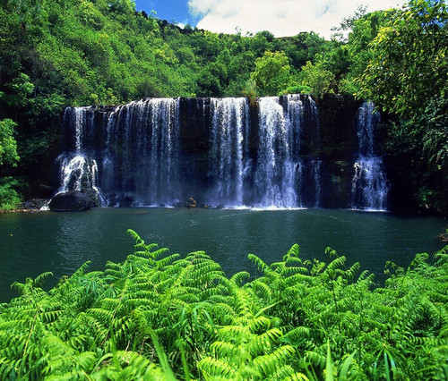 Очень красивый лесной широкий водопад